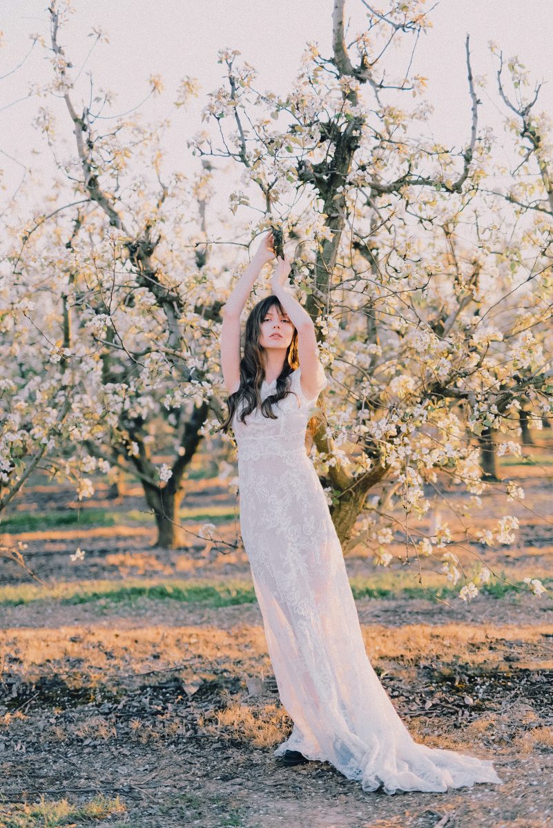 日系富士胶片婚纱照调色大师包LR预设 FILMSLOOKS-FUJI-MASTER-PACKV1 插件预设 sucaiwan.com