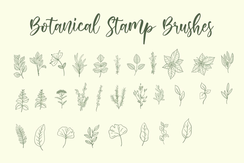 30个花卉植物图案Procreate/PS笔刷 笔刷资源 sucaiwan.com