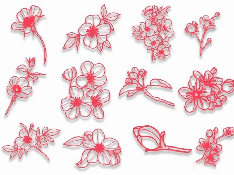 50款樱花桃花花瓣PS笔刷和Procreate笔刷 笔刷资源 sucaiwan.com