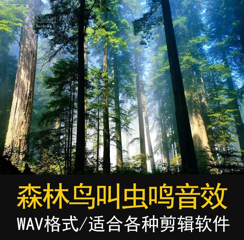 100款无损高质量大自然森林环境相关 剪辑配乐音频素材 短视频素材 sucaiwan.com