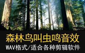 100款无损高质量大自然森林环境相关 剪辑配乐音频素材