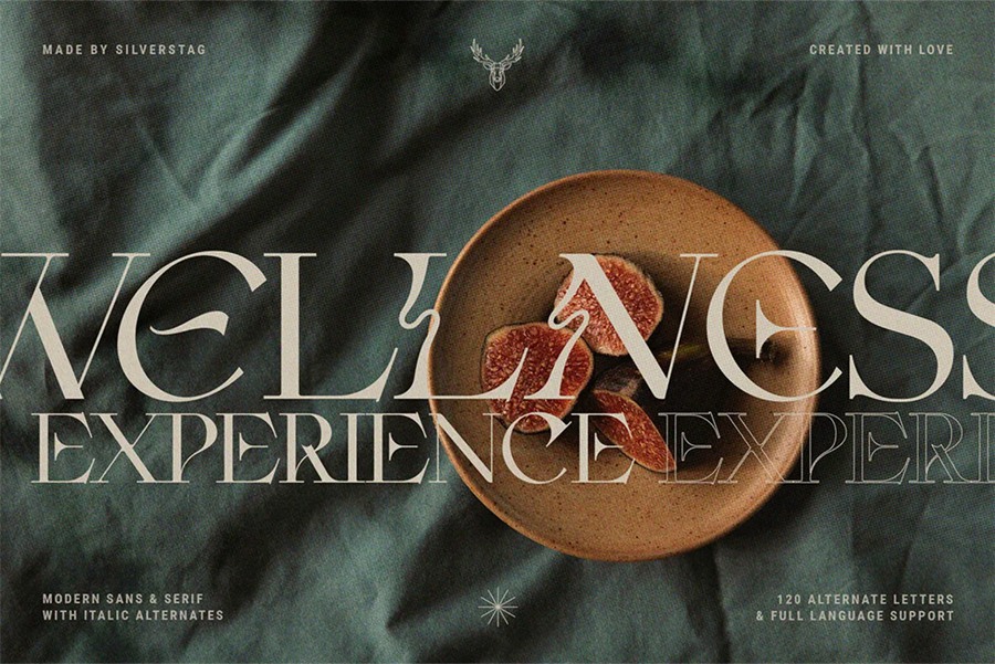 英文字体：创意复古无/衬线二重奏标题海报设计字体 Fleur Display Font Duo 设计素材 sucaiwan.com