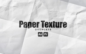 AE/PR模板:16个逼真粗糙褶皱磨损折痕纸张纹理背景视频设计素材