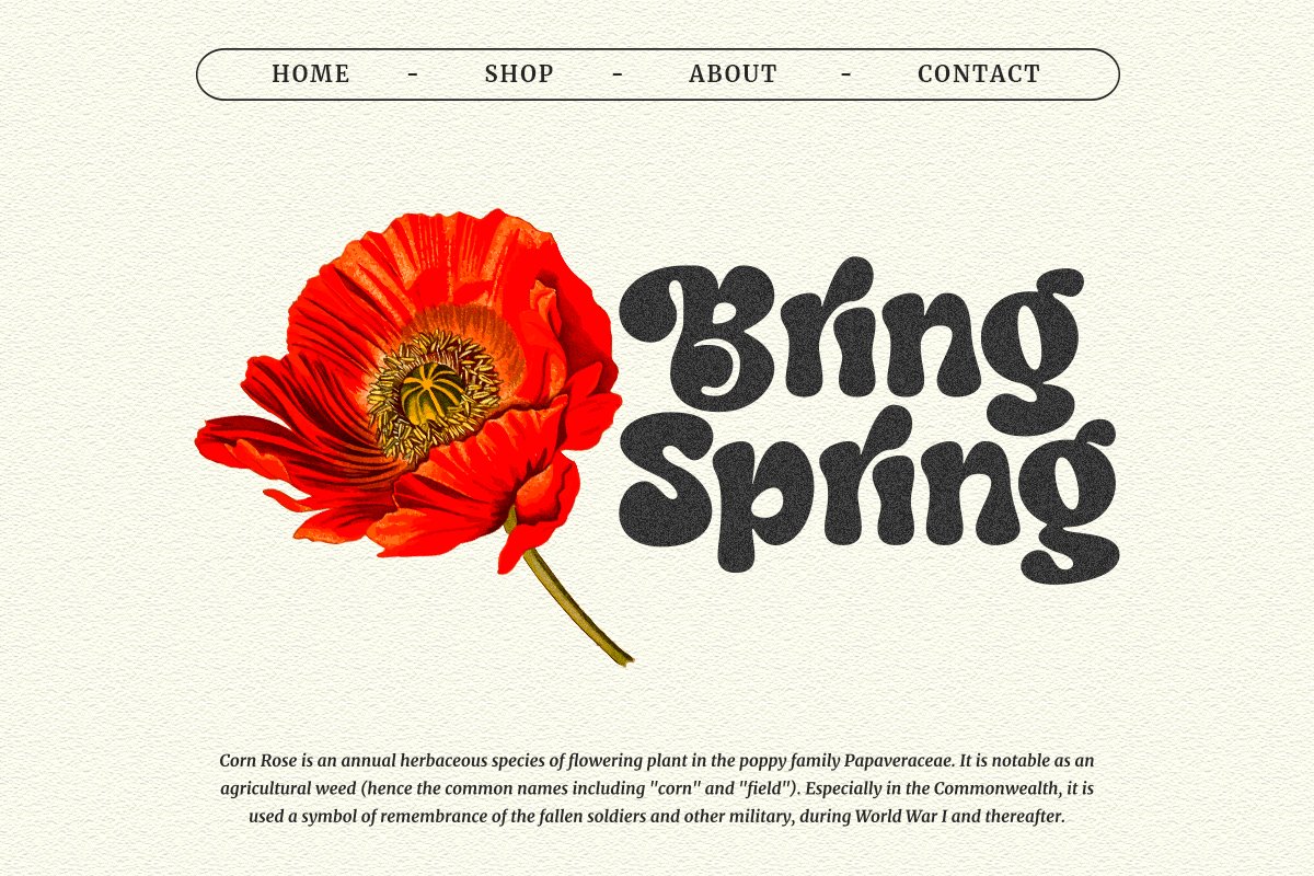 英文字体:70年代复古粗体风格大胆斜体柔和杂志海报封面字体 Swipe - Seventies Retro Typeface 设计素材 第4张-素材湾丨精选海外优质设计素材资源 英文字体:70年代复古粗体风格大胆斜体柔和杂志海报封面字体 Swipe - Seventies Retro Typeface 设计素材 sucaiwan.com