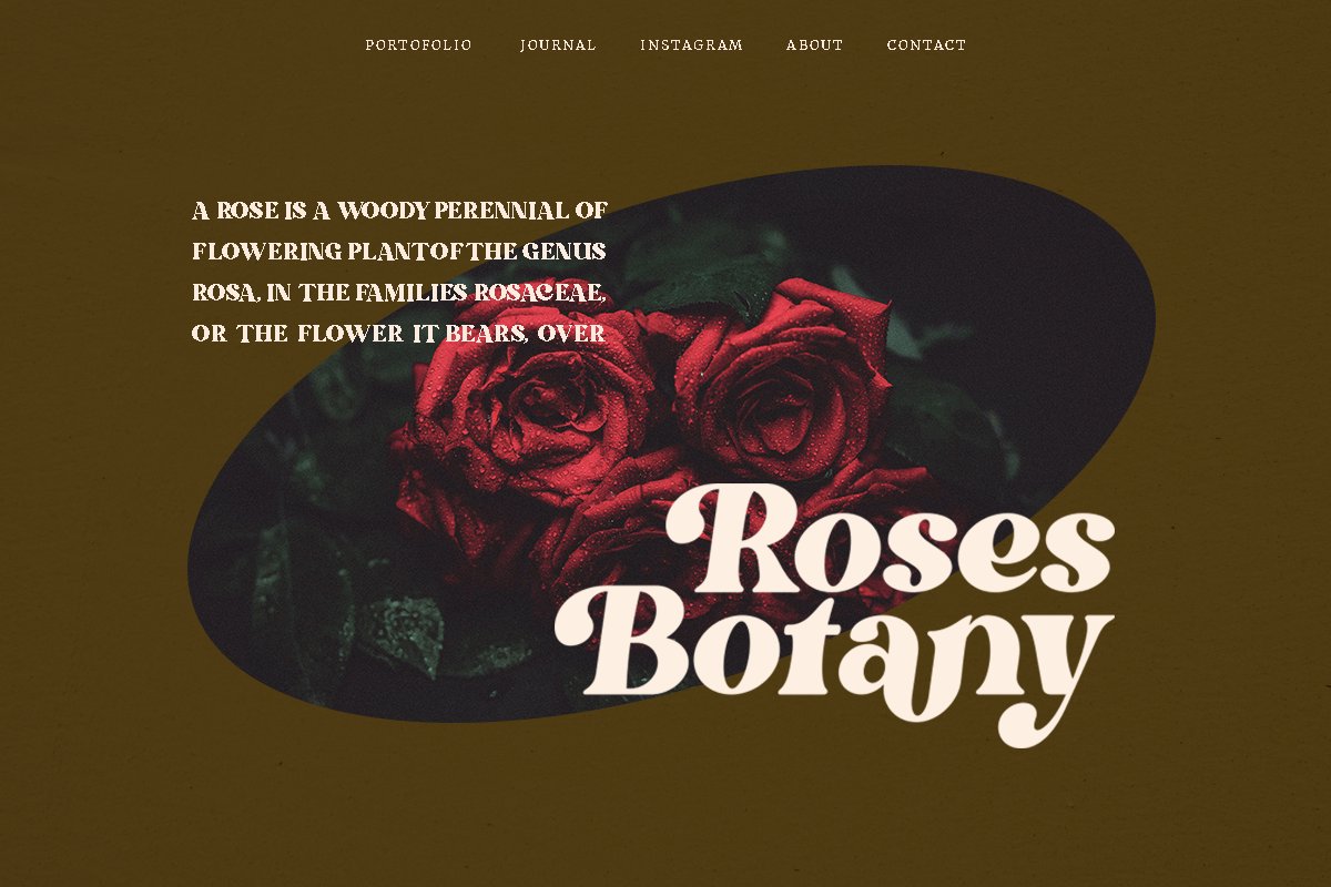 英文字体:60年代复古现代时尚杂志斜体衬线英文字体 Bright - Modern Retro 设计素材 第5张-素材湾丨精选海外优质设计素材资源 英文字体:60年代复古现代时尚杂志斜体衬线英文字体 Bright - Modern Retro 设计素材 sucaiwan.com