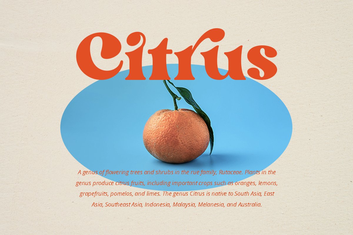 英文字体:60年代复古现代时尚杂志斜体衬线英文字体 Bright - Modern Retro 设计素材 第10张-素材湾丨精选海外优质设计素材资源 英文字体:60年代复古现代时尚杂志斜体衬线英文字体 Bright - Modern Retro 设计素材 sucaiwan.com