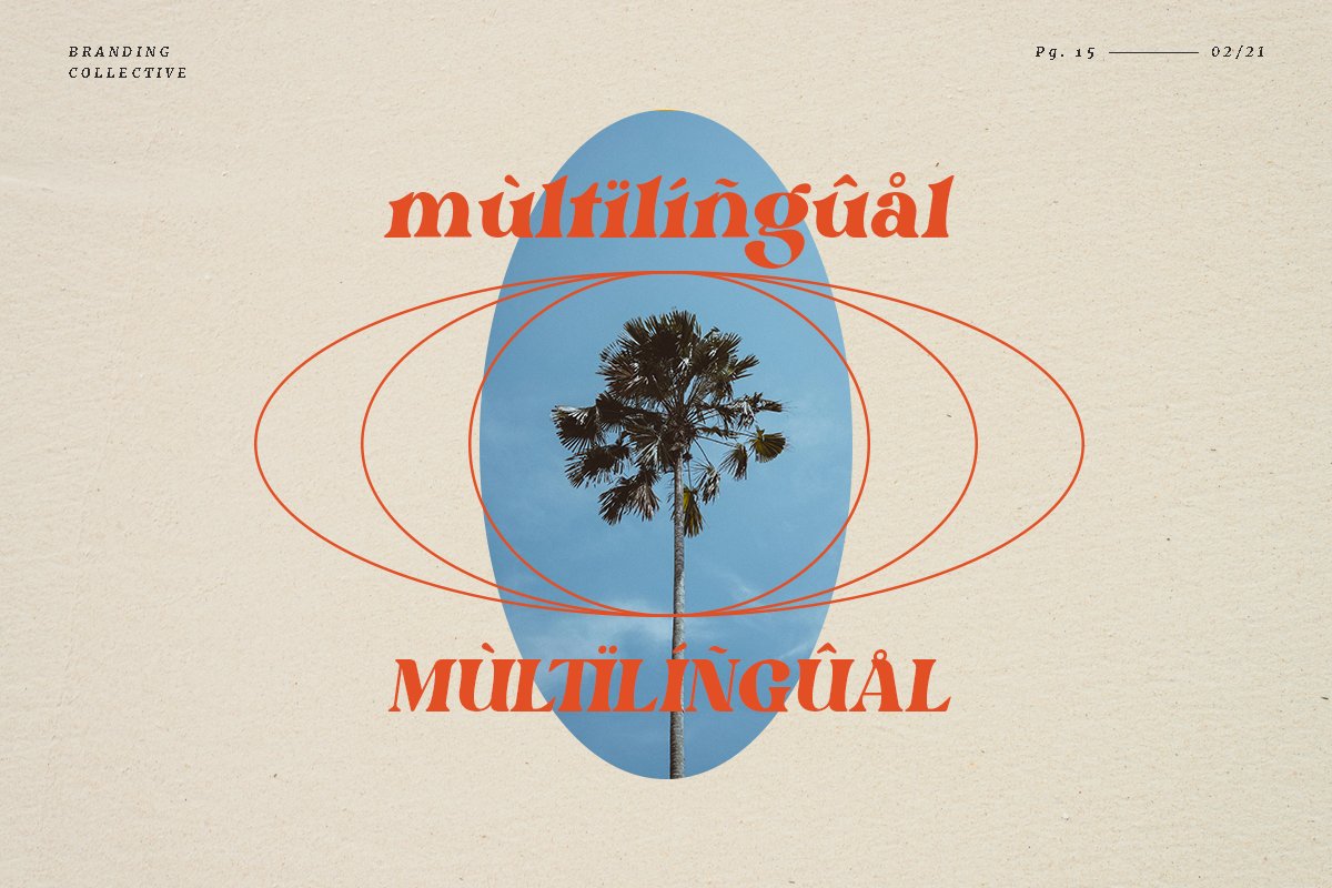 英文字体:60年代复古现代时尚杂志斜体衬线英文字体 Bright - Modern Retro 设计素材 第14张-素材湾丨精选海外优质设计素材资源 英文字体:60年代复古现代时尚杂志斜体衬线英文字体 Bright - Modern Retro 设计素材 sucaiwan.com