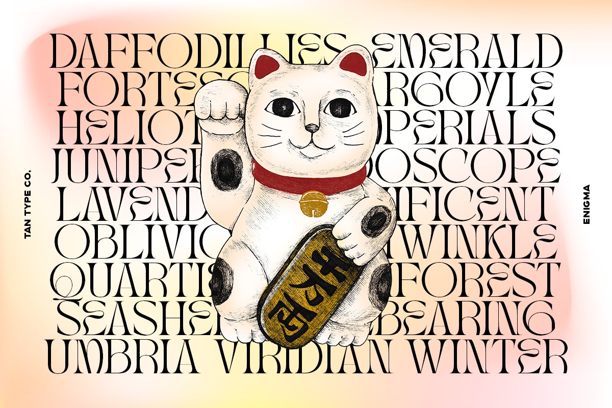 英文字体:现代优雅逆反差古怪扭曲衬线标题海报英文字体 TAN - ENIGMA 设计素材 第9张-素材湾丨精选海外优质设计素材资源 英文字体:现代优雅逆反差古怪扭曲衬线标题海报英文字体 TAN - ENIGMA 设计素材 sucaiwan.com