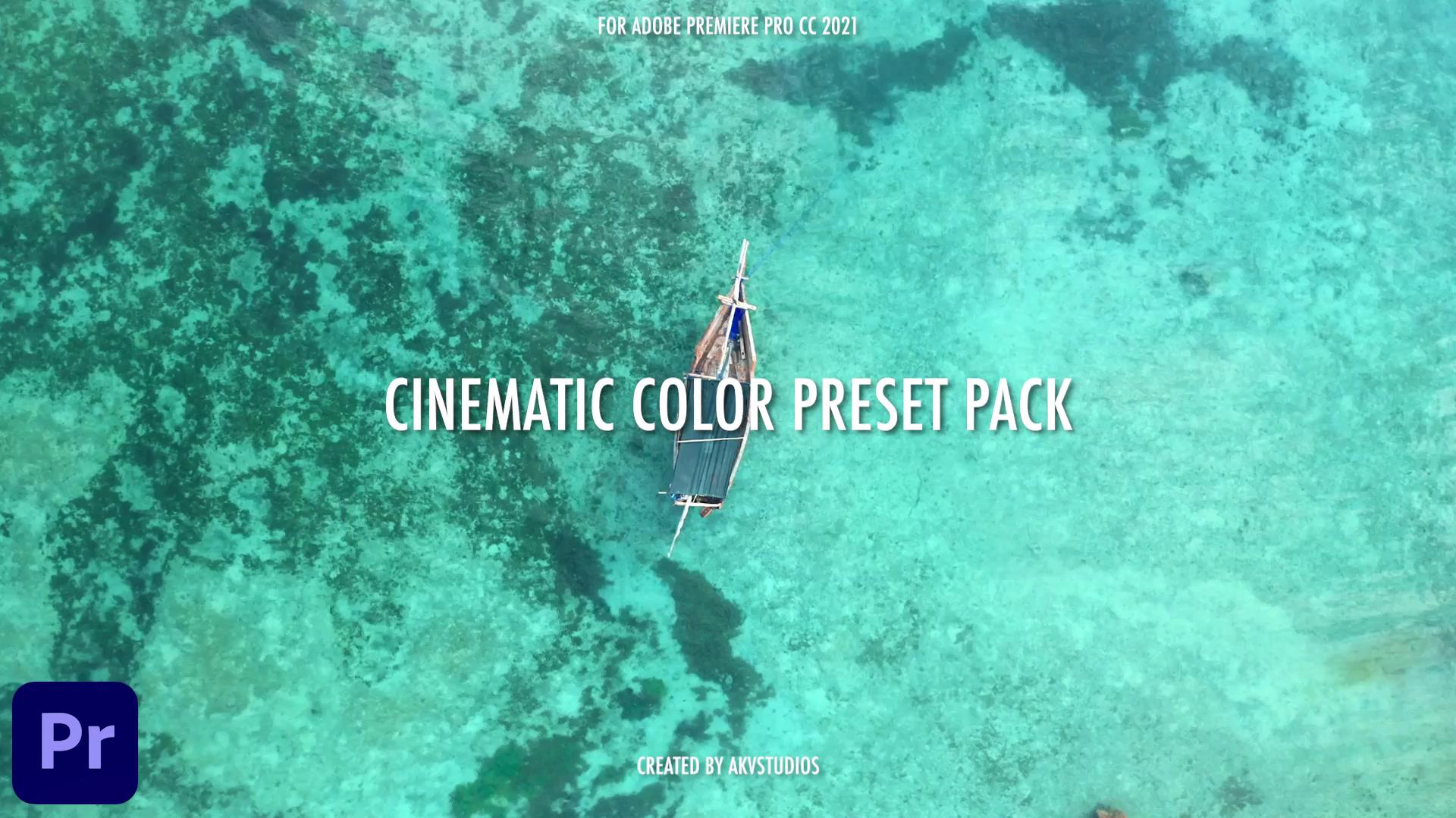 PR预设：1000多个航拍时尚旅行复古城市婚礼电影色彩调色预设 AKVStudios – 1000+ Cinematic Color Presets 插件预设 sucaiwan.com