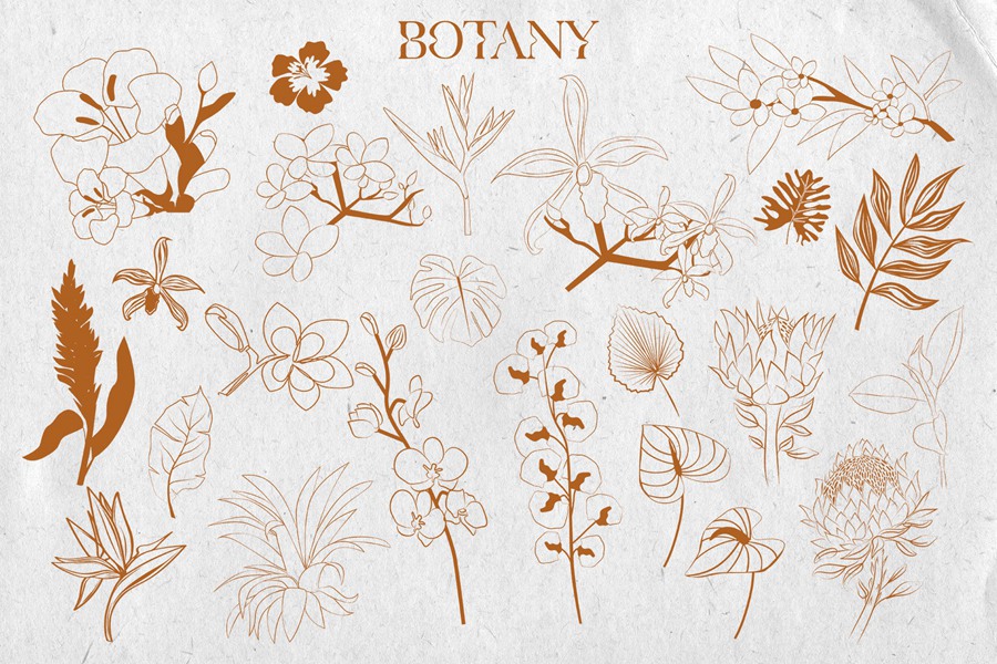 热带植物海报艺术氛围、女性气质、海洋生物、水果拼贴、纺织包装海报印刷矢量精品图形元素Tropical Retrospective Poster 图片素材 sucaiwan.com