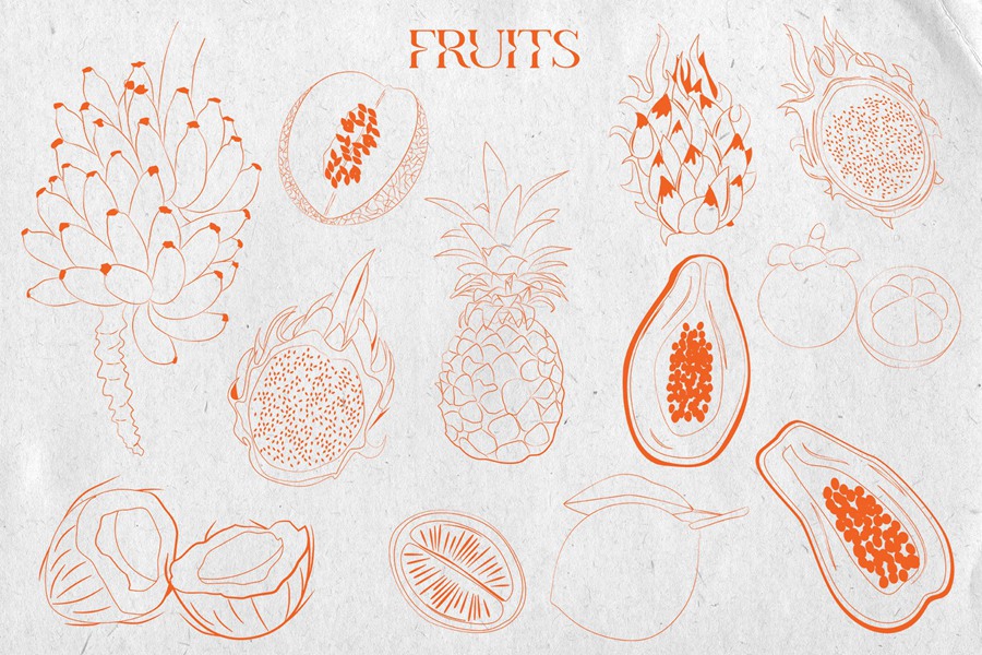 热带植物海报艺术氛围、女性气质、海洋生物、水果拼贴、纺织包装海报印刷矢量精品图形元素Tropical Retrospective Poster 图片素材 sucaiwan.com