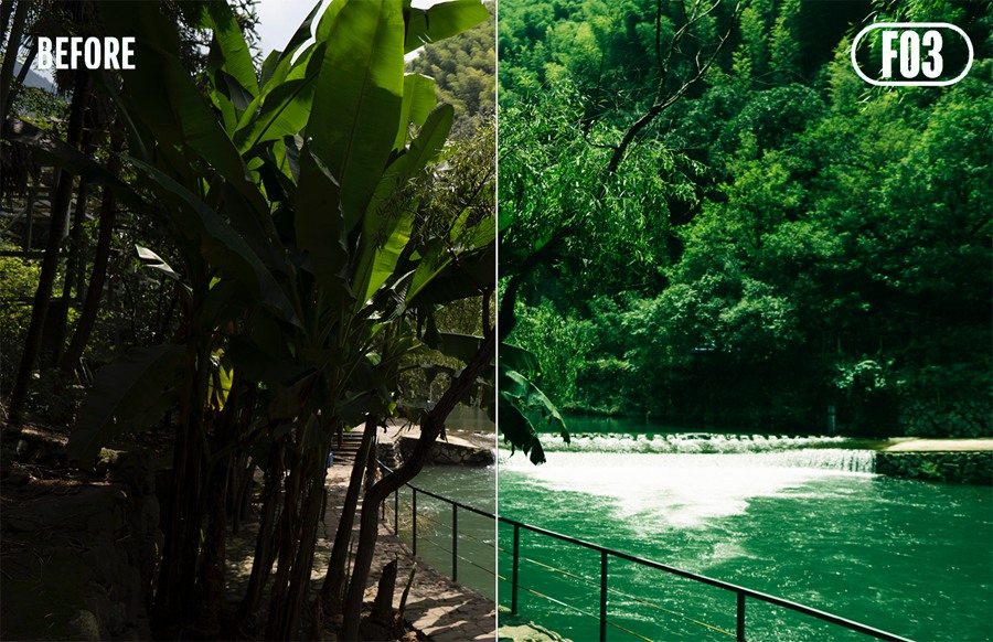 5种模拟胶片滤镜手机LR.dng和电脑LR预设  5 ANALOG FILM PRESETS | RETRO 插件预设 sucaiwan.com