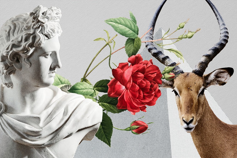 复古美学印刷颗粒照片纹理PNG拼贴元素Photoshop模板 Risograph – Risoprint Effect 插件预设 sucaiwan.com