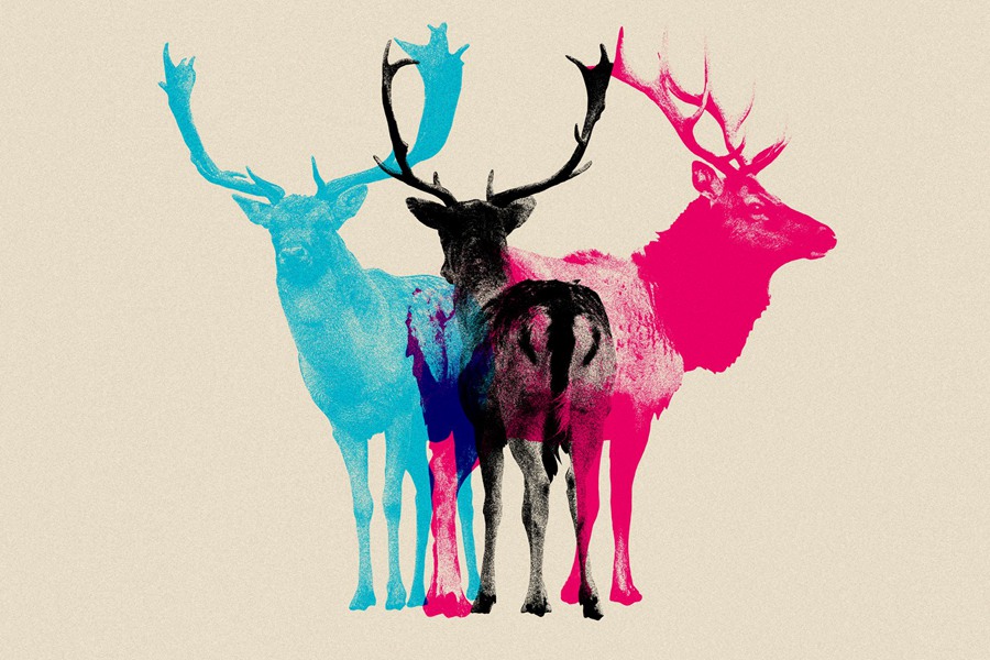 复古美学印刷颗粒照片纹理PNG拼贴元素Photoshop模板 Risograph – Risoprint Effect 插件预设 sucaiwan.com