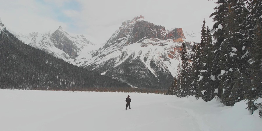 Cinegrams – 10个精心打造复古外观捕捉标志电影外观 LUT 爆裂鼓手/荒野猎人/寄生虫/堕落天使 Movie Looks V2 Video LUTs 插件预设 第19张-素材湾丨精选海外优质设计素材资源 Cinegrams – 10个精心打造复古外观捕捉标志电影外观 LUT 爆裂鼓手/荒野猎人/寄生虫/堕落天使 Movie Looks V2 Video LUTs 插件预设 sucaiwan.com