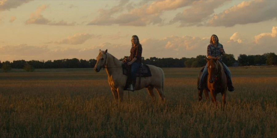 Cinegrams – 10个精心打造复古外观捕捉标志电影外观 LUT 爆裂鼓手/荒野猎人/寄生虫/堕落天使 Movie Looks V2 Video LUTs 插件预设 第18张-素材湾丨精选海外优质设计素材资源 Cinegrams – 10个精心打造复古外观捕捉标志电影外观 LUT 爆裂鼓手/荒野猎人/寄生虫/堕落天使 Movie Looks V2 Video LUTs 插件预设 sucaiwan.com