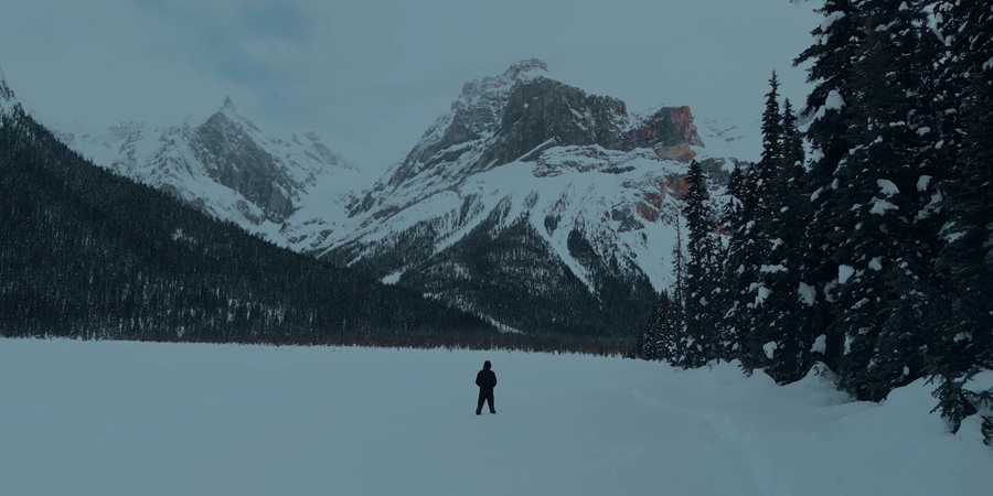 Cinegrams – 10个精心打造复古外观捕捉标志电影外观 LUT 爆裂鼓手/荒野猎人/寄生虫/堕落天使 Movie Looks V2 Video LUTs 插件预设 第20张-素材湾丨精选海外优质设计素材资源 Cinegrams – 10个精心打造复古外观捕捉标志电影外观 LUT 爆裂鼓手/荒野猎人/寄生虫/堕落天使 Movie Looks V2 Video LUTs 插件预设 sucaiwan.com