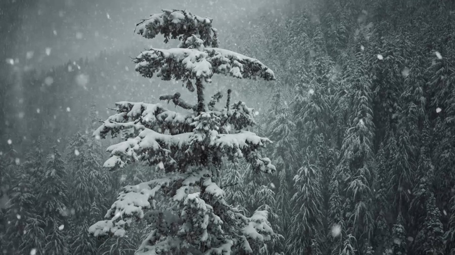 BusyBoxx V23 Snow Storm 100个超慢动作4K雪花飘落动画圣诞节氛围暴风雪冬季下雪场景雪花电影特效元素 影视音频 第3张-素材湾丨精选海外优质设计素材资源 BusyBoxx V23 Snow Storm 100个超慢动作4K雪花飘落动画圣诞节氛围暴风雪冬季下雪场景雪花电影特效元素 影视音频 sucaiwan.com