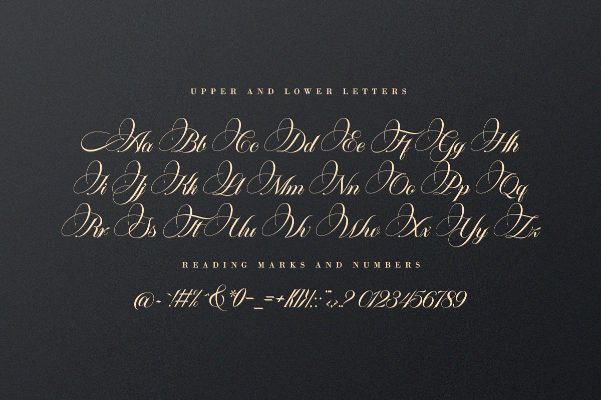 Platinum script 一种优雅柔和经典字体书籍封面、贺卡、徽标、品牌装饰字体 设计素材 第6张-素材湾丨精选海外优质设计素材资源 Platinum script 一种优雅柔和经典字体书籍封面、贺卡、徽标、品牌装饰字体 设计素材 sucaiwan.com