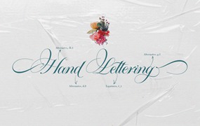 Platinum script 一种优雅柔和经典字体书籍封面、贺卡、徽标、品牌装饰字体