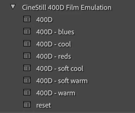 CineStill 400D 复古胶片模拟专业调色摄影扫街LR胶片预设+PS光晕动作 CineStill 400D Film Emulation Lightroom Preset 插件预设 第3张-素材湾丨精选海外优质设计素材资源 CineStill 400D 复古胶片模拟专业调色摄影扫街LR胶片预设+PS光晕动作 CineStill 400D Film Emulation Lightroom Preset 插件预设 sucaiwan.com
