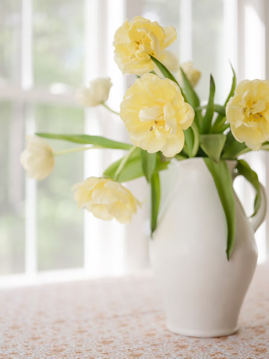 REFINED II 明亮精致家庭摄影新生儿宝宝摄影生活方式和婚礼摄影后期柔和明亮黑暗 Lightroom预设 插件预设 sucaiwan.com