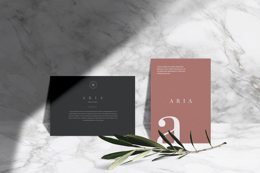Aria – Mockup Scene Creator 独特模型自然捕捉真实阴影元素效果自定义场景样机 样机素材 sucaiwan.com