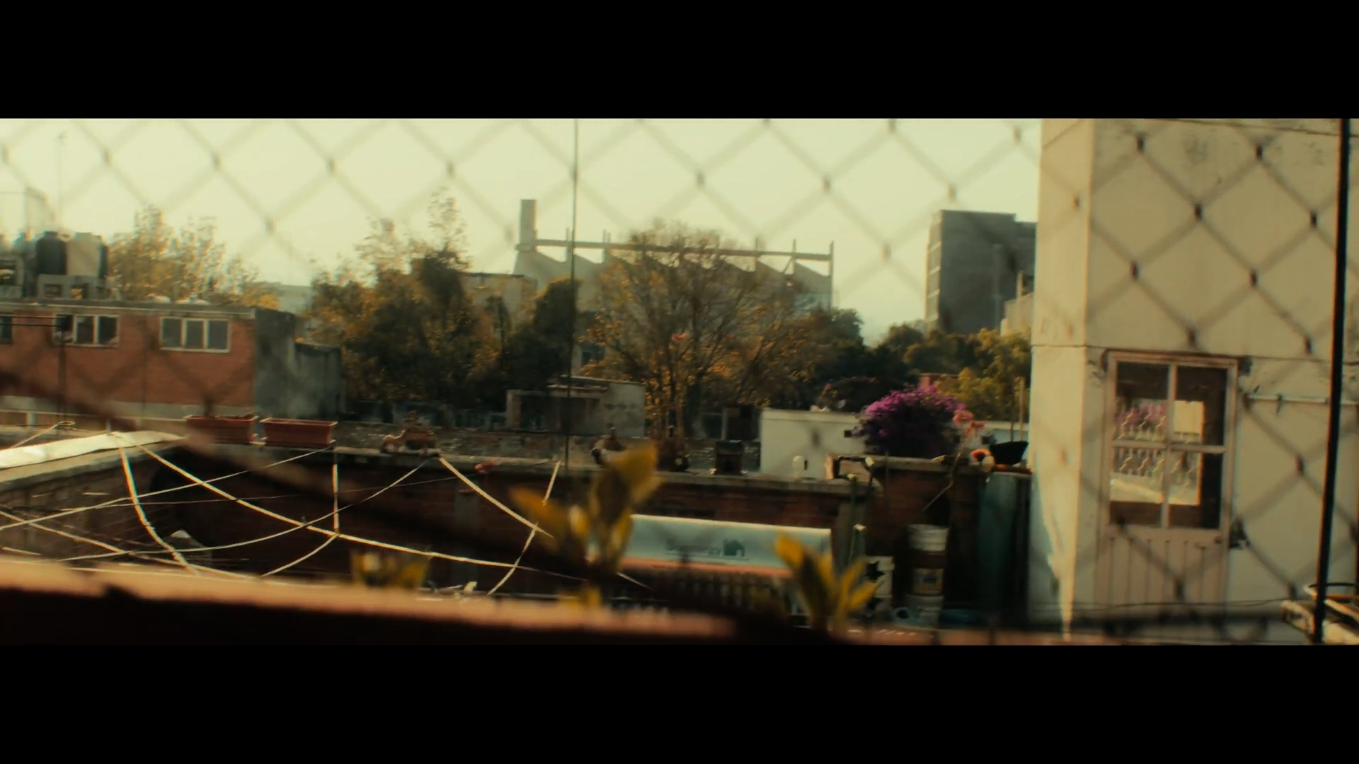 HUMANO 2023 POWERGRADE + LUT 西部电影风格青橙色调胶片模拟达芬奇调色节点+LUT 插件预设 第7张-素材湾丨精选海外优质设计素材资源 HUMANO 2023 POWERGRADE + LUT 西部电影风格青橙色调胶片模拟达芬奇调色节点+LUT 插件预设 sucaiwan.com