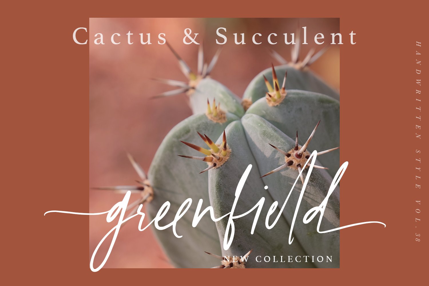 Teracotta – Handwritten Font 手写签名风格时尚婚礼请帖、社交媒体、LOGO、婚礼、品牌、平面设计字体 设计素材 第3张-素材湾丨精选海外优质设计素材资源 Teracotta – Handwritten Font 手写签名风格时尚婚礼请帖、社交媒体、LOGO、婚礼、品牌、平面设计字体 设计素材 sucaiwan.com