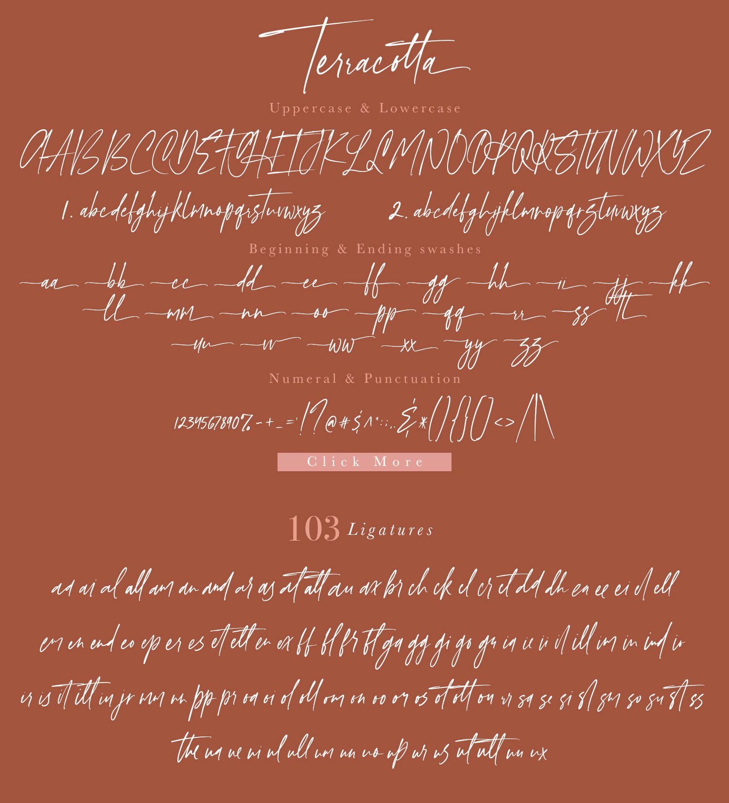 Teracotta – Handwritten Font 手写签名风格时尚婚礼请帖、社交媒体、LOGO、婚礼、品牌、平面设计字体 设计素材 第17张-素材湾丨精选海外优质设计素材资源 Teracotta – Handwritten Font 手写签名风格时尚婚礼请帖、社交媒体、LOGO、婚礼、品牌、平面设计字体 设计素材 sucaiwan.com