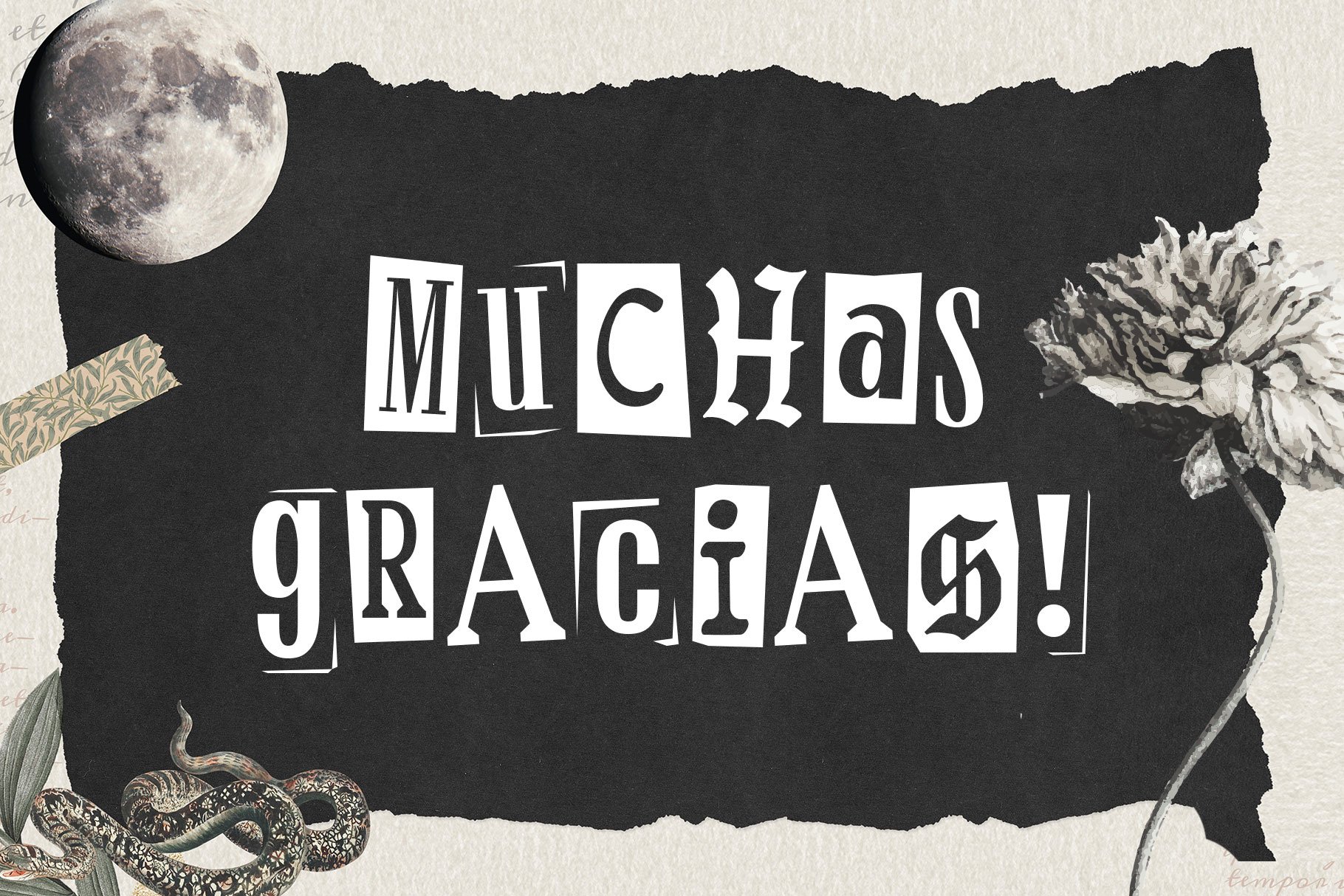 复古拼贴艺术剪纸无衬线压缩衬线手写和老式打字机混合字体 Retroma Vibes – Mixed Font 设计素材 sucaiwan.com