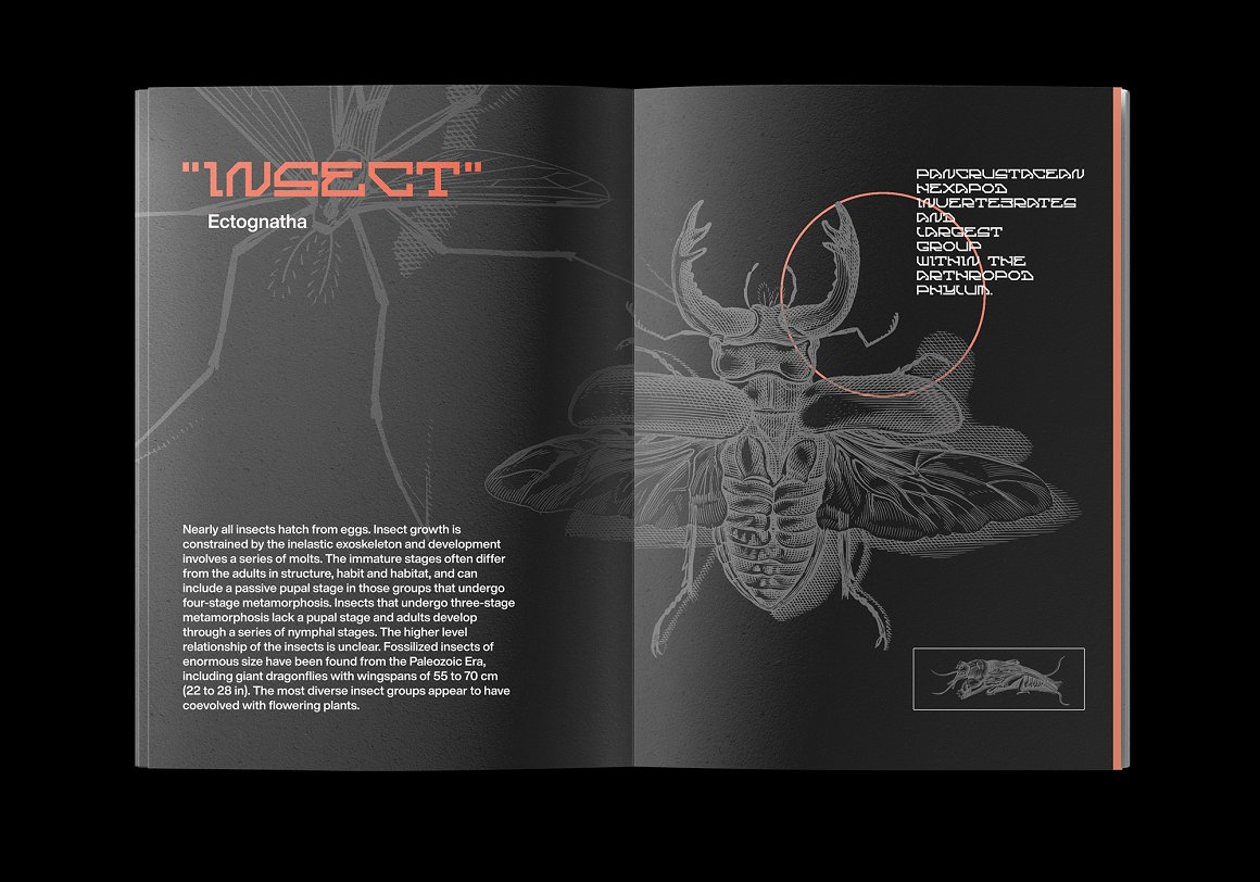Cortex 暗黑工业风现代感刚性未来概念英文字体包 Display Font 设计素材 sucaiwan.com