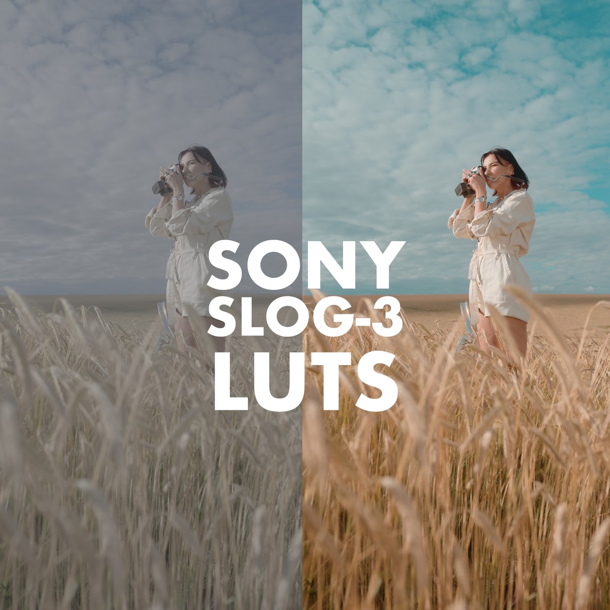 Alexandru Don 21个新索尼LUTs电影感商业级外观颜色分级 肤色版 SONY SLOG 3 LUTS – SKINTONE EDITION 插件预设 sucaiwan.com