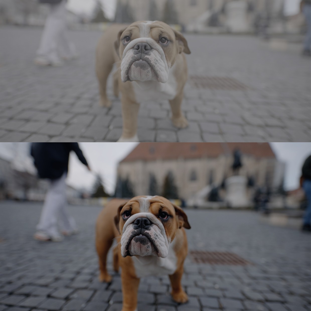 Alexandru Don 21个新索尼LUTs电影感商业级外观颜色分级 肤色版 SONY SLOG 3 LUTS – SKINTONE EDITION 插件预设 sucaiwan.com