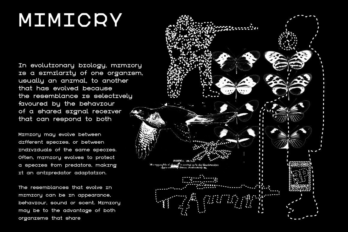 Timur Zima 赛博朋克酸性视觉美学菱形弯曲未来感科技显示屏字体包 G Display 设计素材 sucaiwan.com