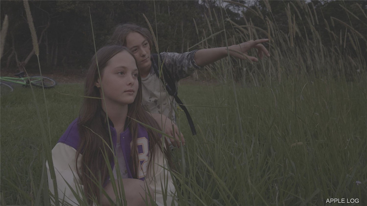 苹果Apple Log转阿莱色彩电影感LUT调色预设 The One LUT for Iphone Apple Log 插件预设 第10张-素材湾丨精选海外优质设计素材资源 苹果Apple Log转阿莱色彩电影感LUT调色预设 The One LUT for Iphone Apple Log 插件预设 sucaiwan.com