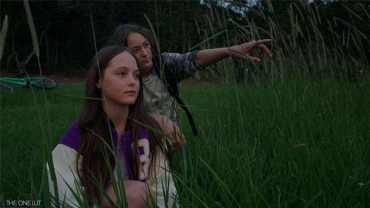 苹果Apple Log转阿莱色彩电影感LUT调色预设 The One LUT for Iphone Apple Log 插件预设 第11张-素材湾丨精选海外优质设计素材资源 苹果Apple Log转阿莱色彩电影感LUT调色预设 The One LUT for Iphone Apple Log 插件预设 sucaiwan.com