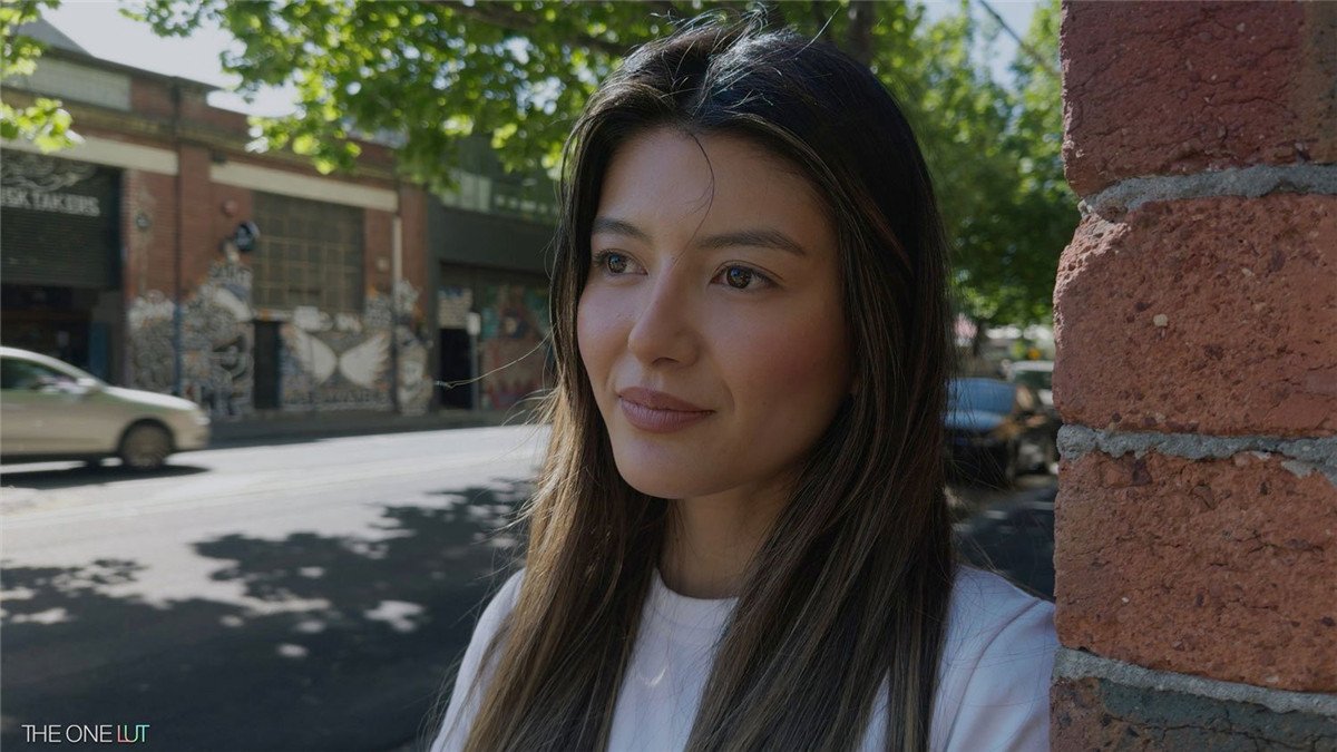 苹果Apple Log转阿莱色彩电影感LUT调色预设 The One LUT for Iphone Apple Log 插件预设 第15张-素材湾丨精选海外优质设计素材资源 苹果Apple Log转阿莱色彩电影感LUT调色预设 The One LUT for Iphone Apple Log 插件预设 sucaiwan.com