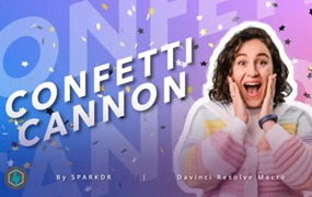 达芬奇预设:婚礼生日毕业典礼庆祝活动五彩纸屑彩带预设包