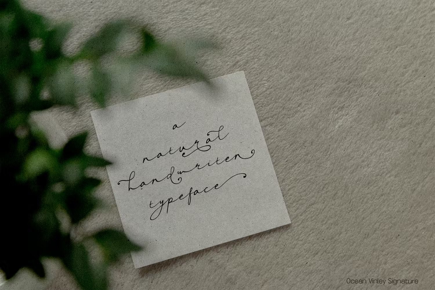 Ocean Vinley Signature 海洋优雅触感签名流畅手写字体 , 第4张-素材湾丨精选海外优质设计素材资源 Ocean Vinley Signature 海洋优雅触感签名流畅手写字体 , sucaiwan.com
