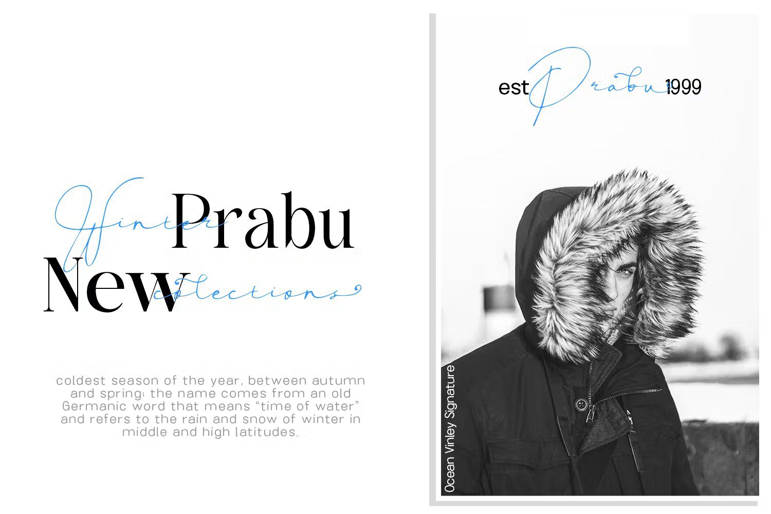 Ocean Vinley Signature 海洋优雅触感签名流畅手写字体 , 第5张-素材湾丨精选海外优质设计素材资源 Ocean Vinley Signature 海洋优雅触感签名流畅手写字体 , sucaiwan.com