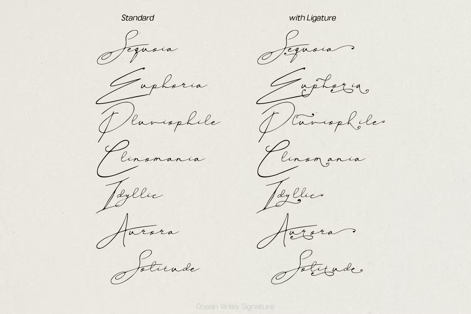 Ocean Vinley Signature 海洋优雅触感签名流畅手写字体 , 第8张-素材湾丨精选海外优质设计素材资源 Ocean Vinley Signature 海洋优雅触感签名流畅手写字体 , sucaiwan.com