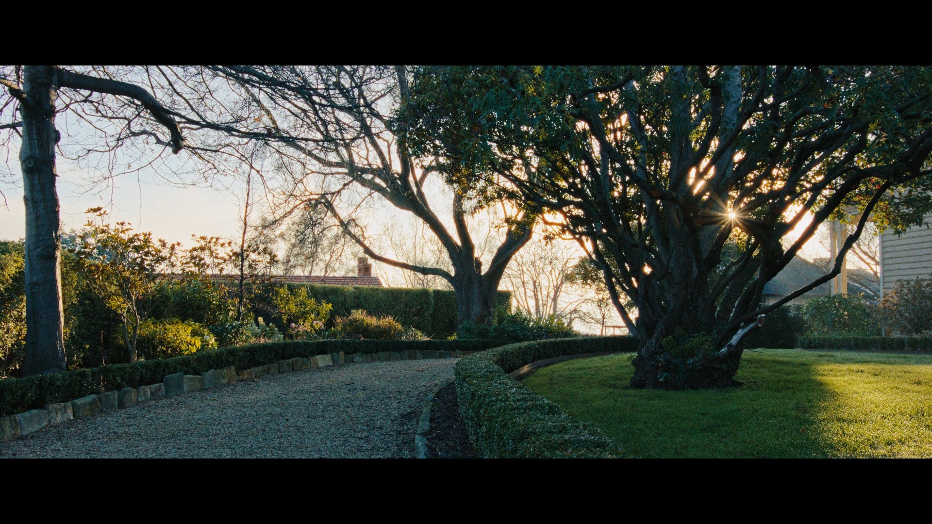 Juan Melara – RED KOMODO TO ALEXA POWERGRADE AND LUTS 科莫多转阿莱达芬奇节点+LUT 插件预设 第7张-素材湾丨精选海外优质设计素材资源 Juan Melara – RED KOMODO TO ALEXA POWERGRADE AND LUTS 科莫多转阿莱达芬奇节点+LUT 插件预设 sucaiwan.com