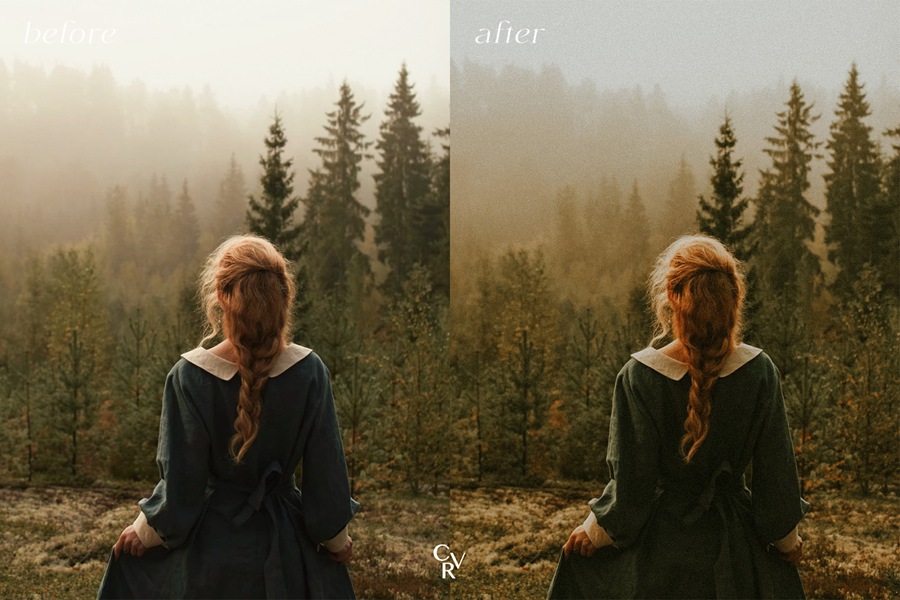 10种网红ins 小红书博主温暖、复人像风光调色滤镜 Lightroom Presets 预设 插件预设 第7张-素材湾丨精选海外优质设计素材资源 10种网红ins 小红书博主温暖、复人像风光调色滤镜 Lightroom Presets 预设 插件预设 sucaiwan.com