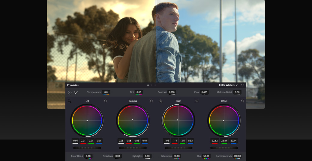 大师课程：使用达芬奇从入门到高级进行颜色分级 Color Grading with Da Vinci Resolve Beginner to Advanced , sucaiwan.com