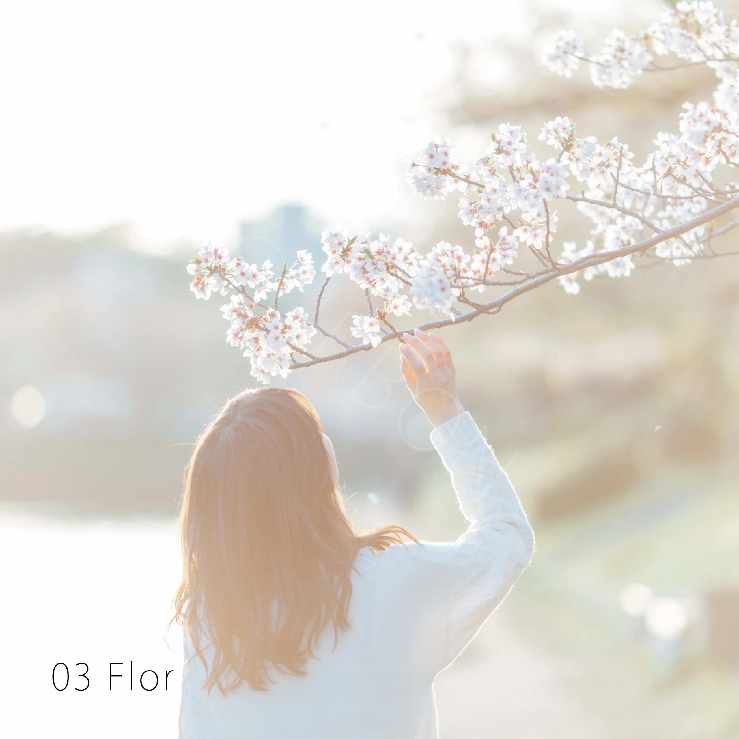 岡田拓也 5个日系清晰风格摄影后期照片滤镜人像LR预设 Complete Collection 插件预设 sucaiwan.com