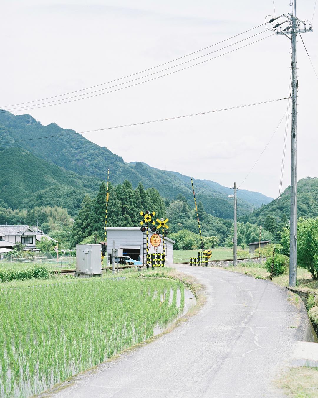 岡田拓也 5个日系清晰风格摄影后期照片滤镜人像LR预设 Complete Collection 插件预设 sucaiwan.com