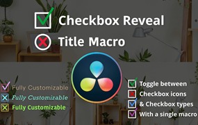 达芬奇预设:自定义清单复选框显示标题预设动画