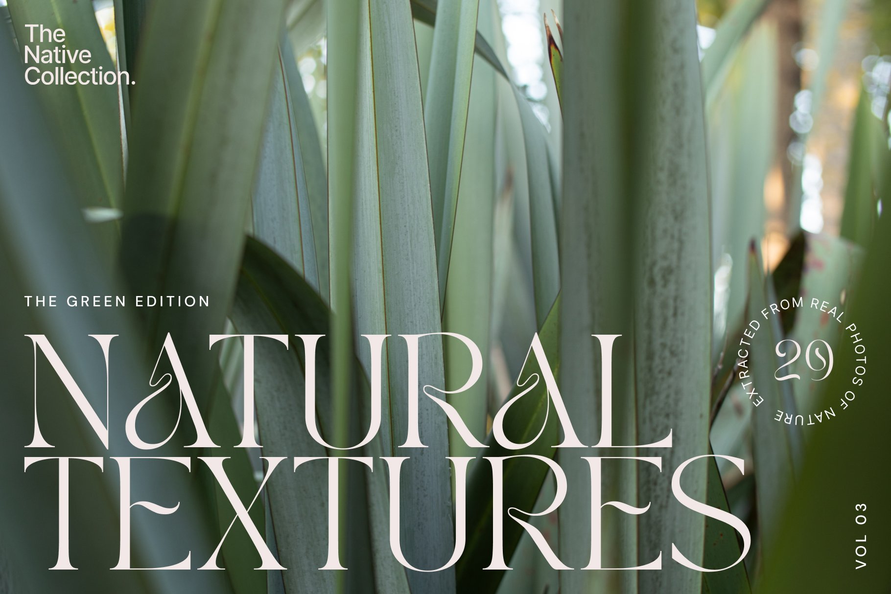 一组精美新西兰本土植物自然植物设计纹理-绿色版v03 Natural textures – Green edition v03 图片素材 sucaiwan.com