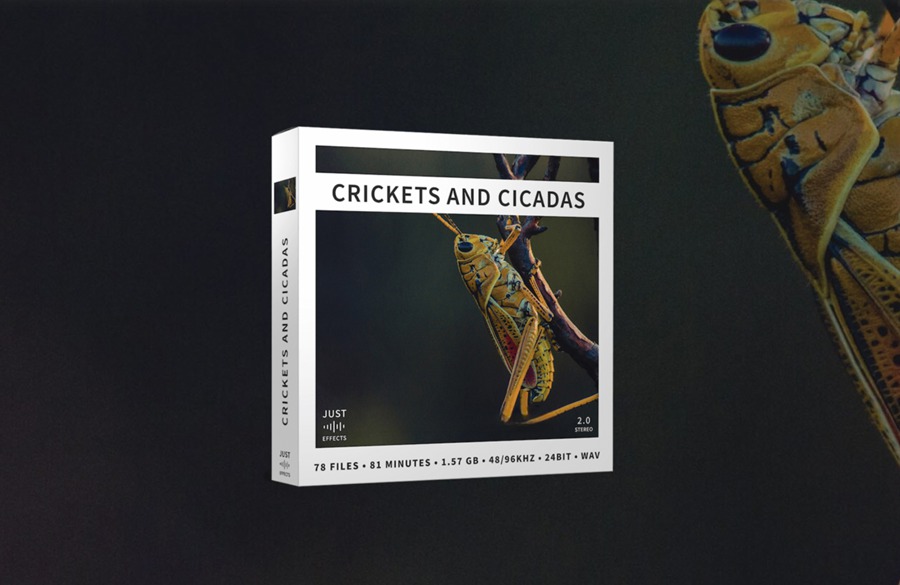 78个夏季蟋蟀蝉和蚂蚱嗡嗡声、咔哒声、刺耳声、呼呼声、嘎嘎声、颤音叽叽喳喳声大自然治愈音效 Crickets and Cicadas 影视音频 第1张-素材湾丨精选海外优质设计素材资源 78个夏季蟋蟀蝉和蚂蚱嗡嗡声、咔哒声、刺耳声、呼呼声、嘎嘎声、颤音叽叽喳喳声大自然治愈音效 Crickets and Cicadas 影视音频 sucaiwan.com